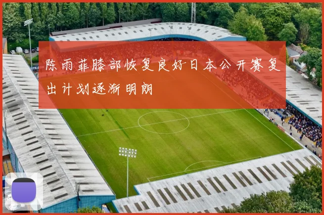 陈雨菲膝部恢复良好日本公开赛复出计划逐渐明朗