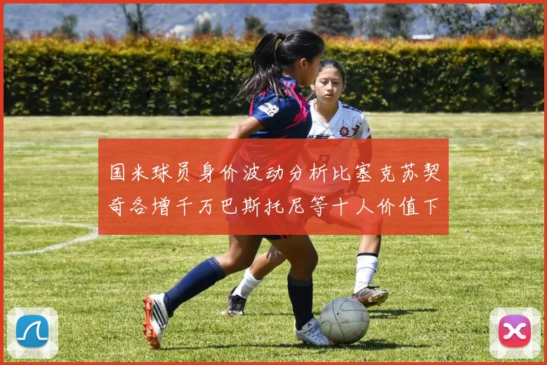 国米球员身价波动分析比塞克苏契奇各增千万巴斯托尼等十人价值下滑