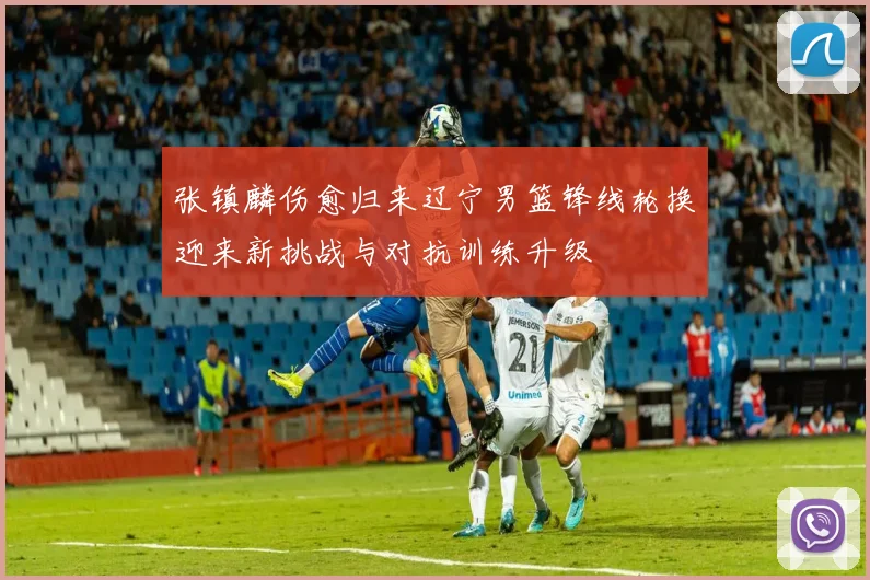 张镇麟伤愈归来辽宁男篮锋线轮换迎来新挑战与对抗训练升级