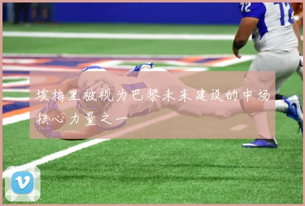 埃梅里被视为巴黎未来建设的中场核心力量之一