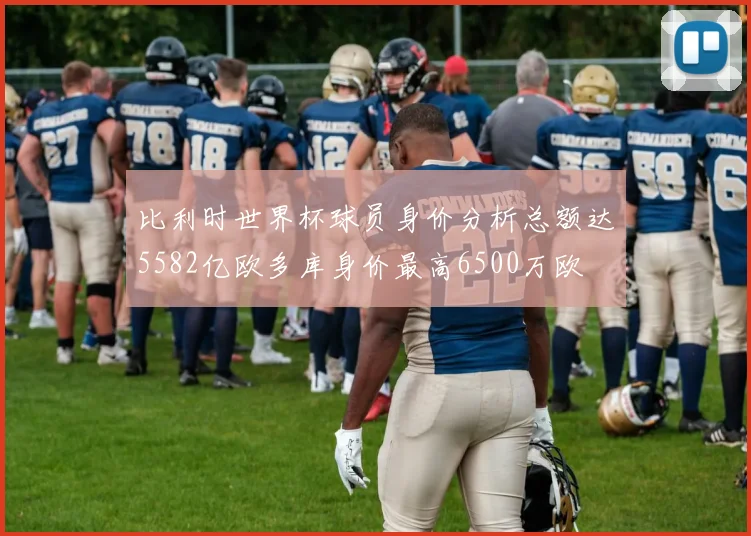 比利时世界杯球员身价分析总额达5582亿欧多库身价最高6500万欧